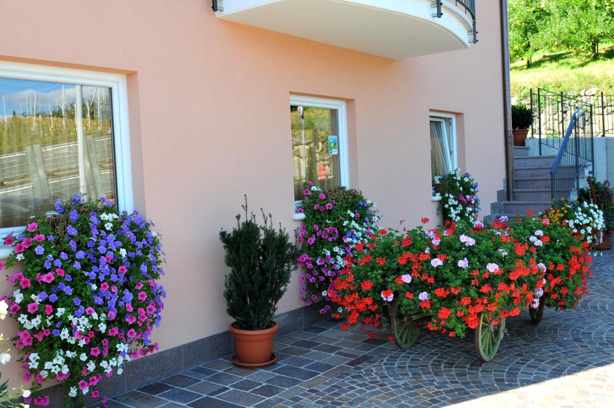 Villa Agritur Le Pergolette Tassul Exterior foto